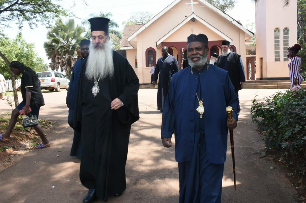 55005392372 d9180274e5 o