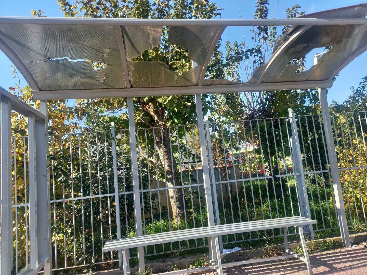 IMG 85f9c615324ec511a0cedca9d6e69409 V