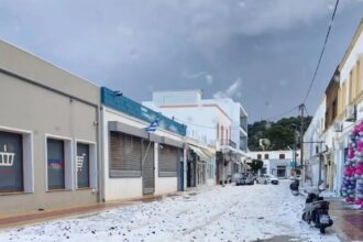 LEROS