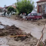 ape plimmires evoia 1.jpg