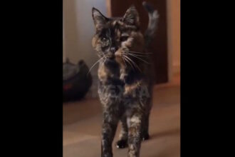 flossie