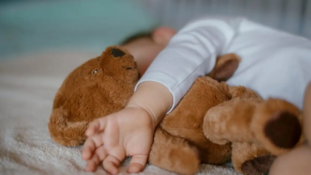 istock 1132714589 1 1200x675 1