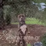 zakinthos2 1200x675 1