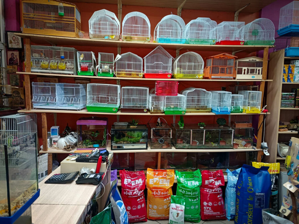 εικόνα Viber 2026 01 19 12 32 12 391