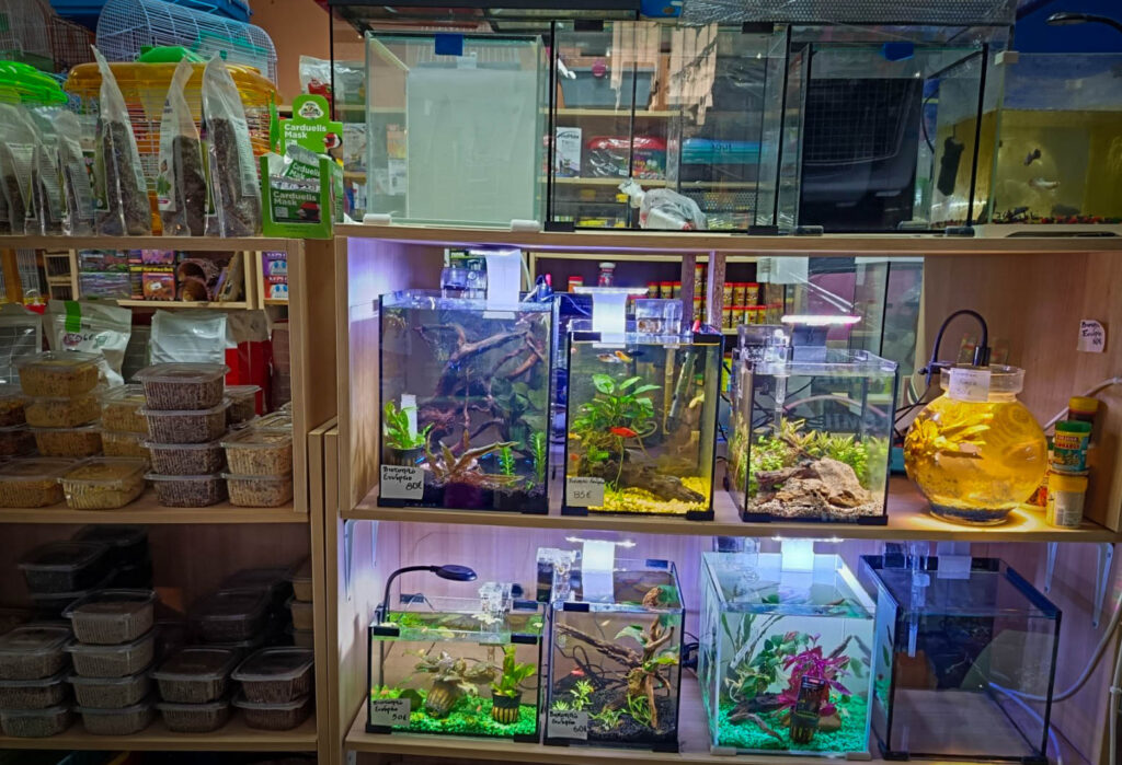 εικόνα Viber 2026 01 19 12 32 12 710