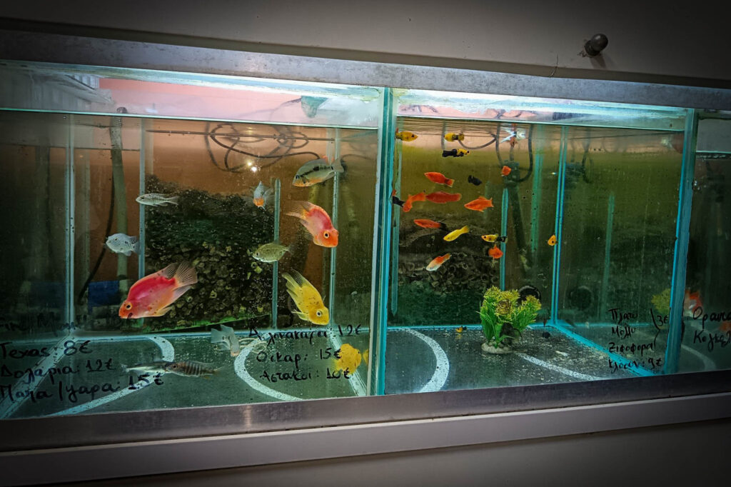 εικόνα Viber 2026 01 19 12 32 13 214