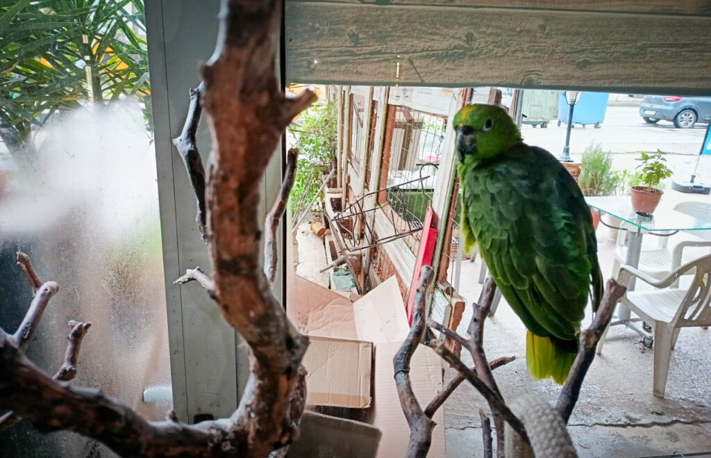 εικόνα Viber 2026 01 19 12 32 15 093