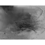 0d1319152f464e238c3a2a05eccf0004