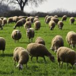 202511291129525306 1200x809 1