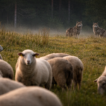 53187fa1 2b6e 42dc bb41 e6994a4ce94a