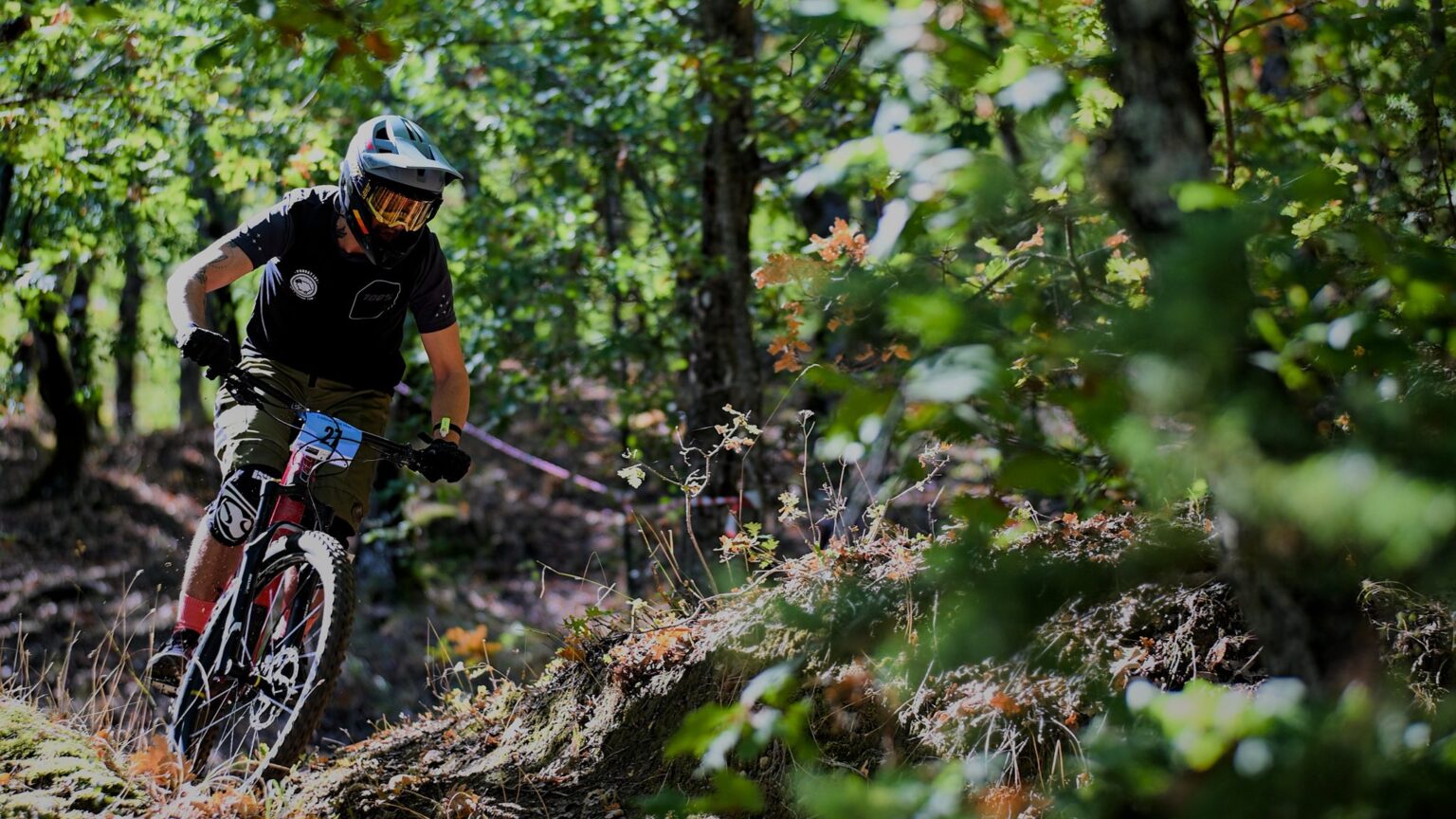 559568204 800155242771491 6522260992615542814 n