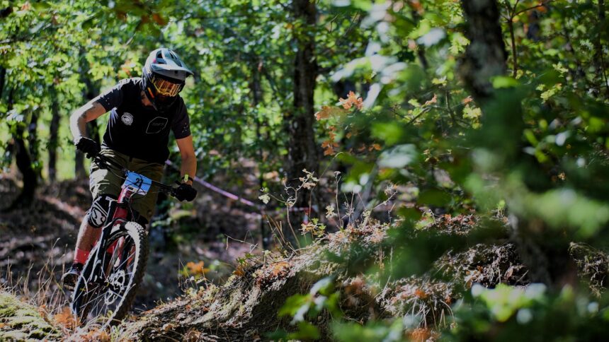 559568204 800155242771491 6522260992615542814 n