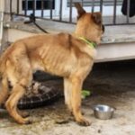 FB IMG 1767798355198