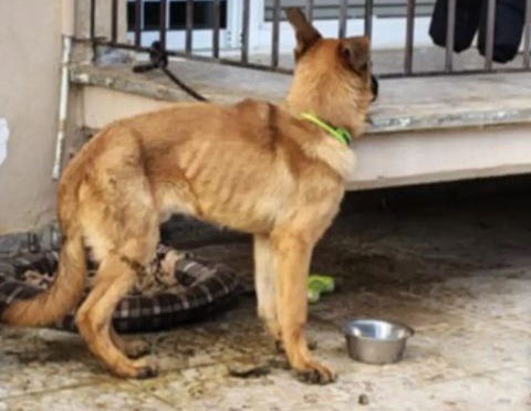 FB IMG 1767798355198