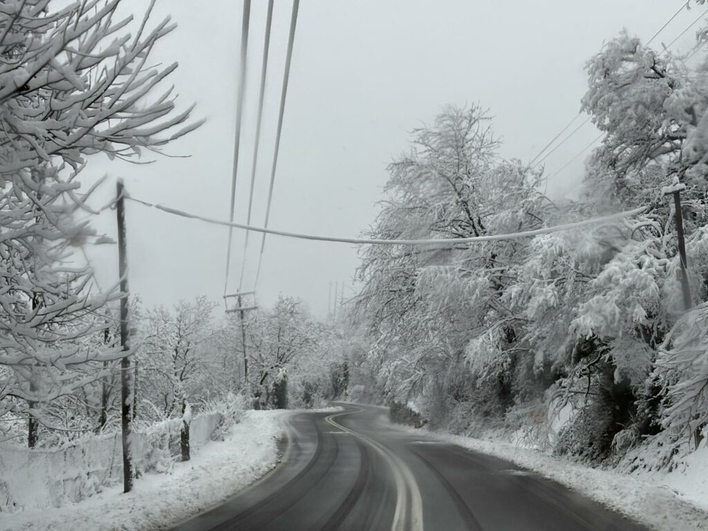 IMG 3c5e4e46721517985d6057830ad000e4 V 1