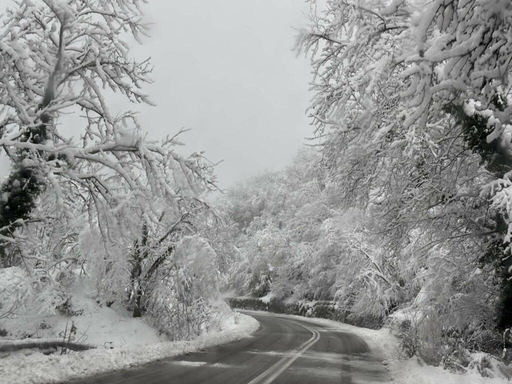 IMG 51b87e0199c7622de6a1804ea9437819 V