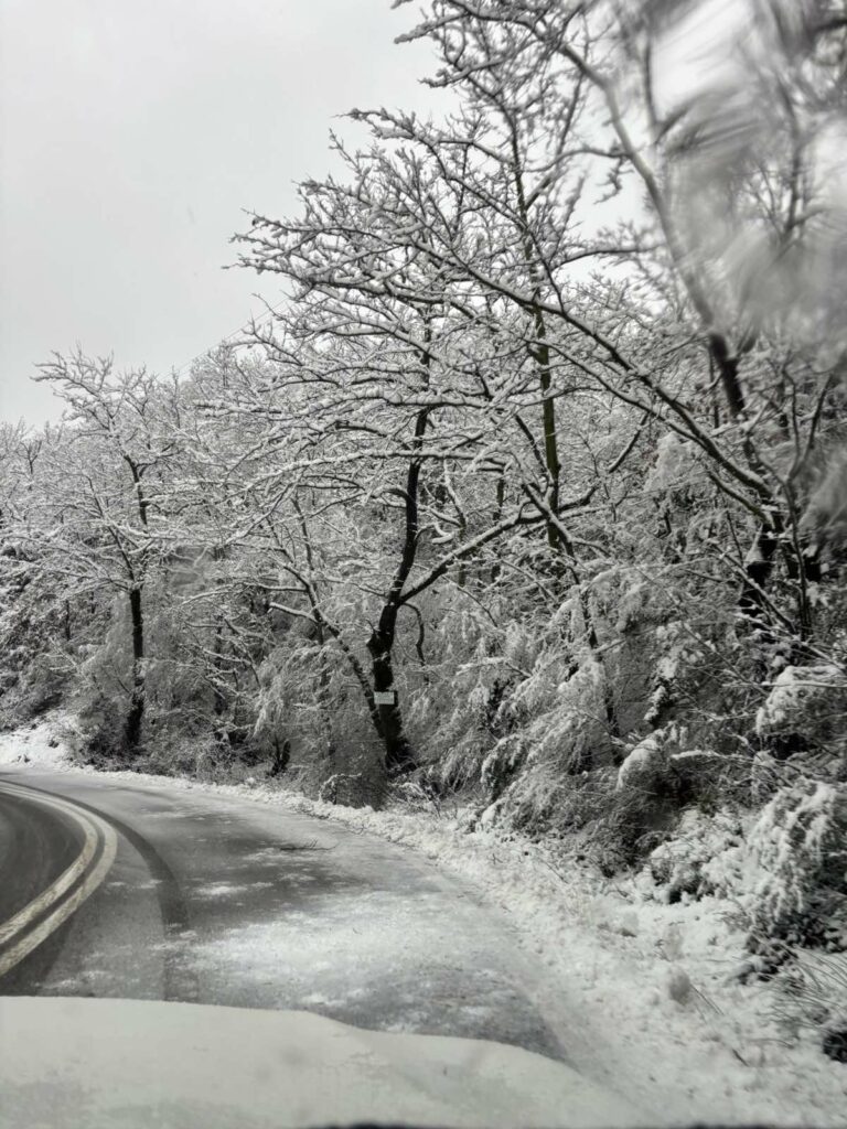 IMG 58431aa9c01dd397e0fd0c62caa33b14 V