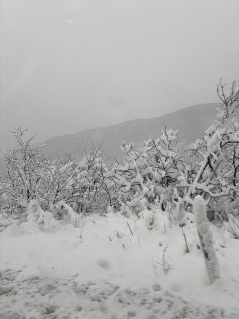 IMG 61fa32650d78a73e36775c308832993a V