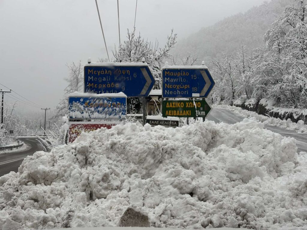 IMG 69a2c688386621651e7a742edb1dca3e V