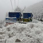 IMG 69a2c688386621651e7a742edb1dca3e V