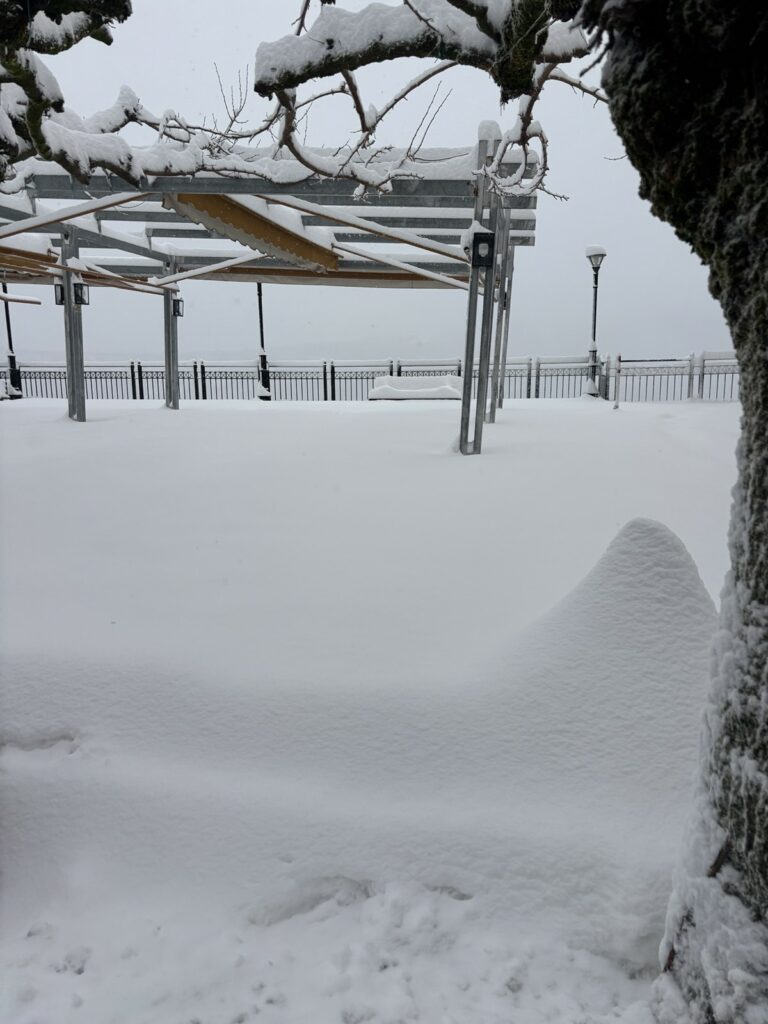 IMG 6bb4edc49686271302e7fe4e068b216e V