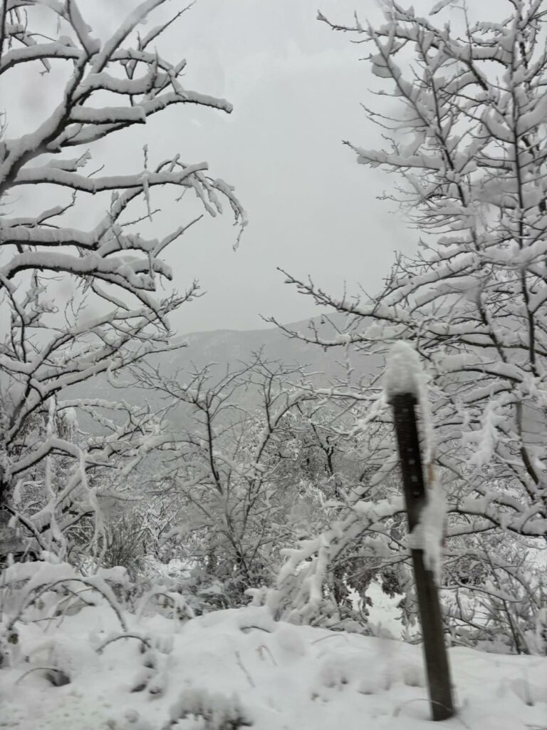 IMG 751cb61b6eaaae9629eec95e9a9fa272 V