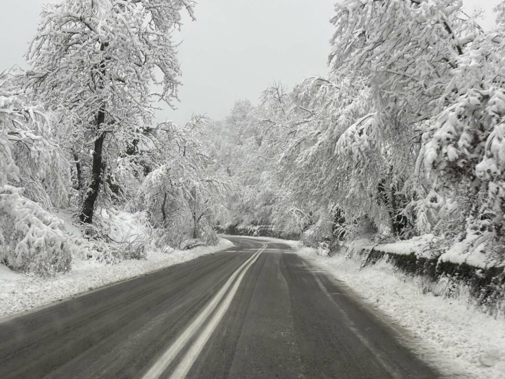 IMG 7bc8bd8112452c531dfbd511a140628a V