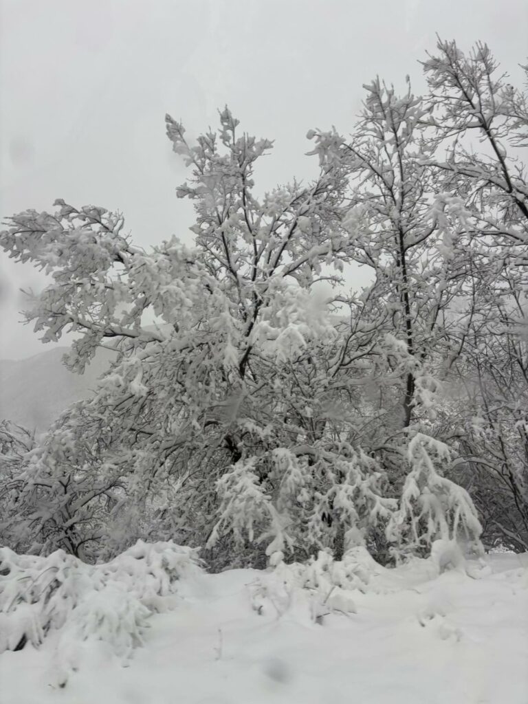 IMG 7db7758aa301b4e77af33f1ba49a2eea V