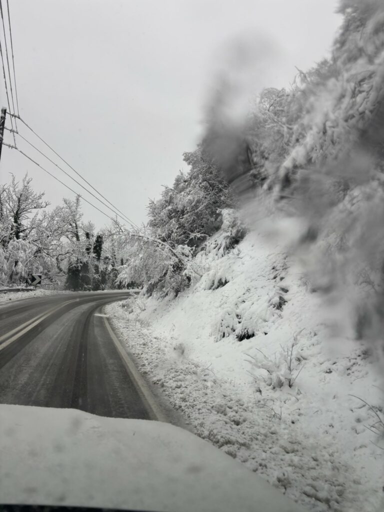 IMG 83c677be8a45283443005e68475315f4 V