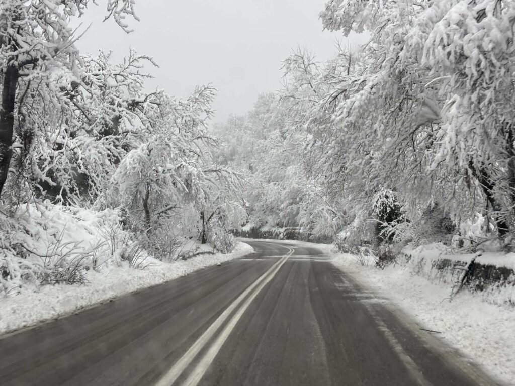 IMG c7b8933e56af629b9057f338e3964656 V