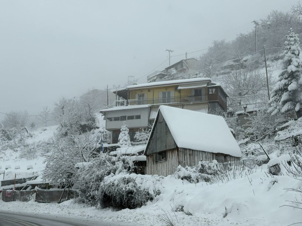 IMG e7195e85b470e5d3c967f73b8936d0f5 V