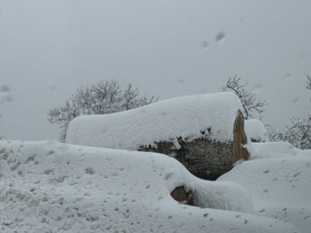 IMG fe750674dd55ad95daf1958c3265fdbe V