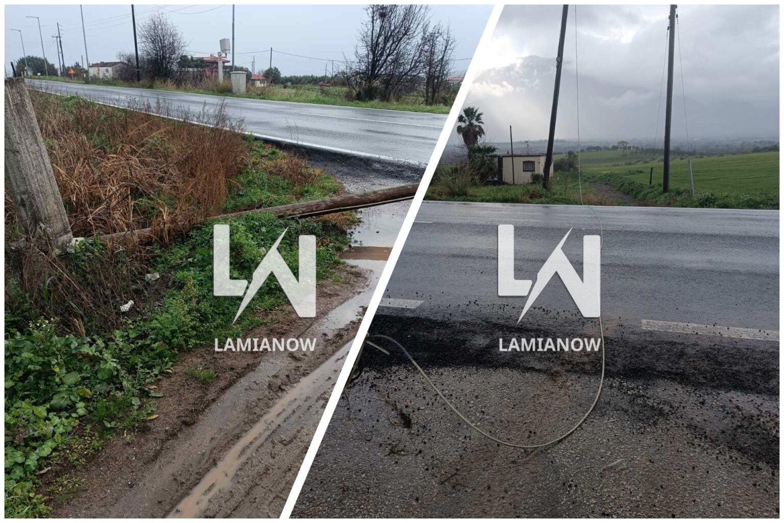 InCollage 20260117 110600875