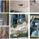 InCollage 20260129 221756675 1536x1024 1