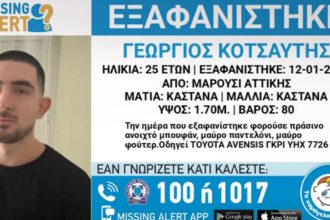 exafanisi