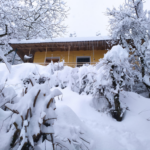 image 122 1024x768 1