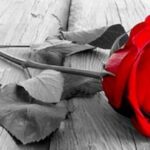 penthos louloudi 780x449 1