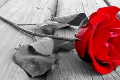 penthos louloudi 780x449 1