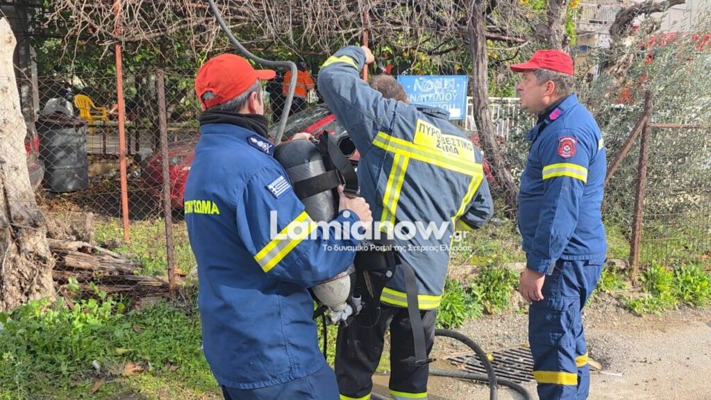 photo 17681266002637198623024889768123