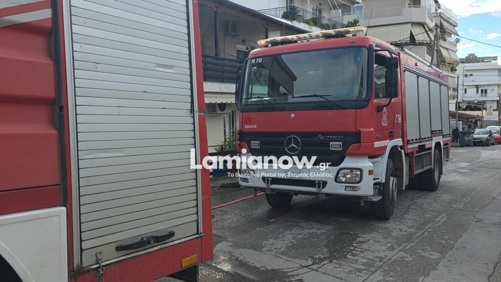 photo 17681266006962638797357559195966