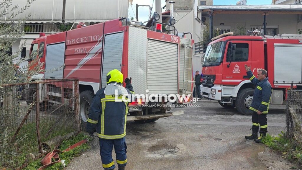 photo 17681266010466251376954289386311