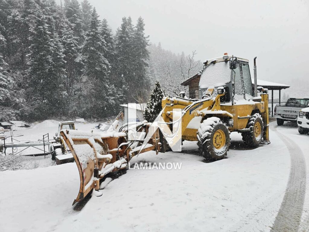 photo 17688135822098629376837606880324