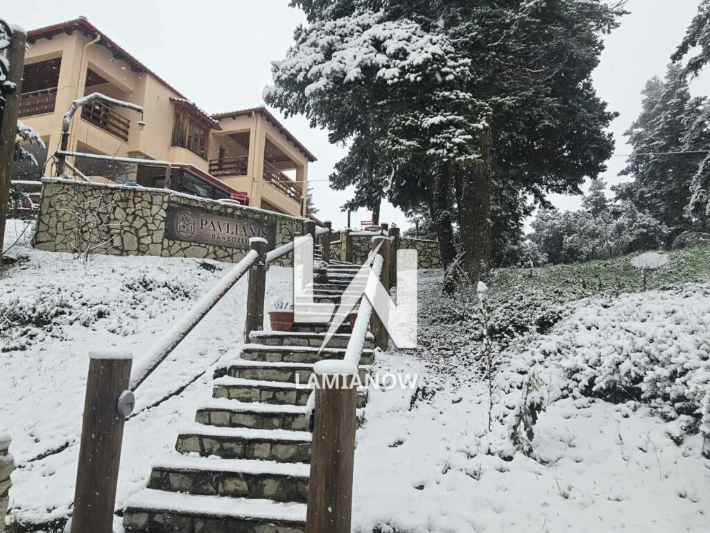 photo 17688135823867141384845780413292