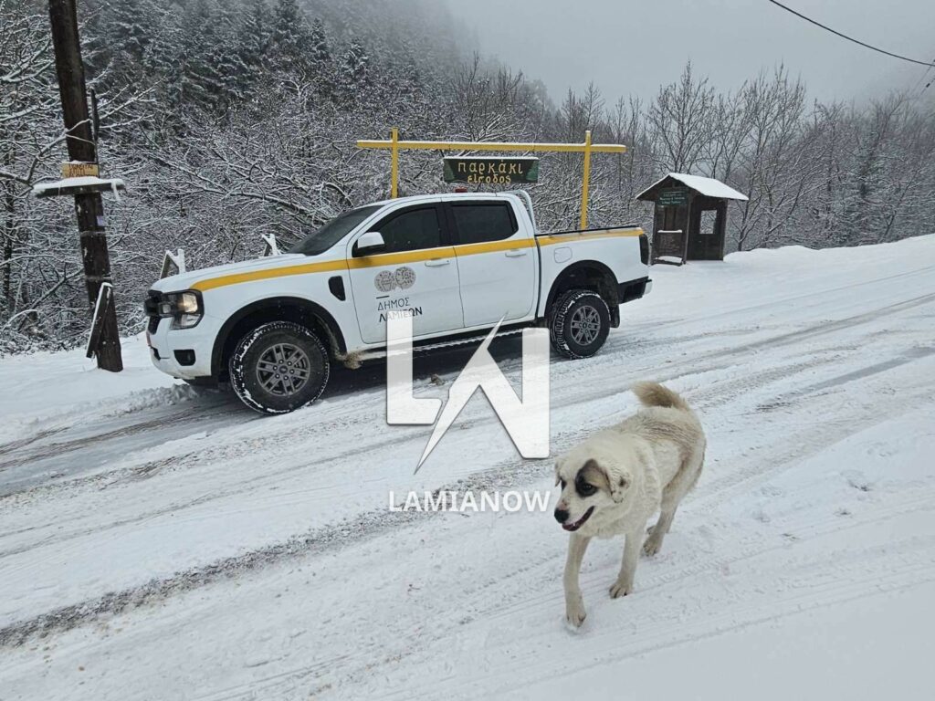 photo 17688135825776639794233751495242