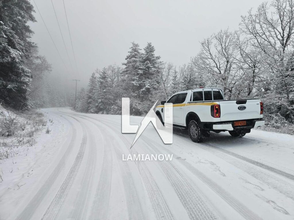 photo 17688135830969031422019757992579