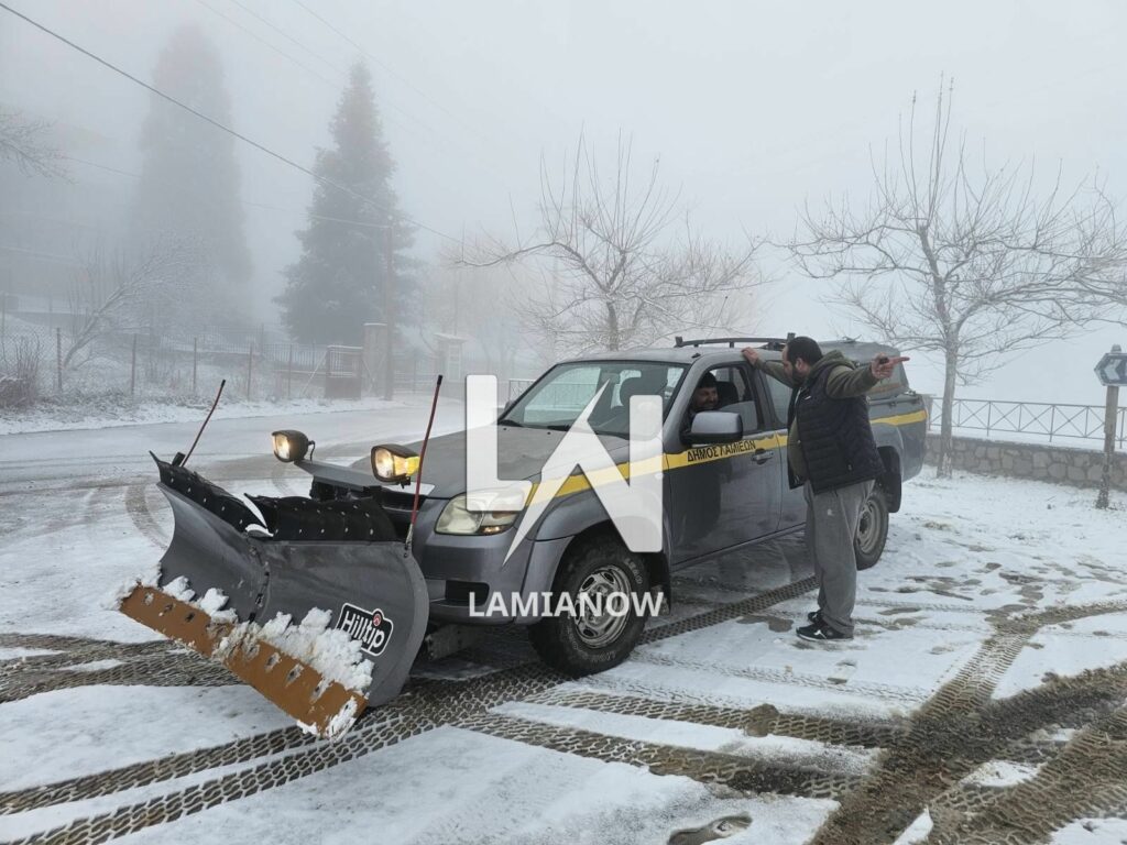 photo 17688135832704397193324932506807