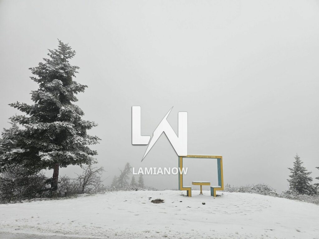 photo 17688135836117132517246769236620