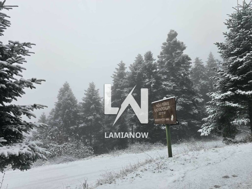 photo 17688135837958431493830828053222