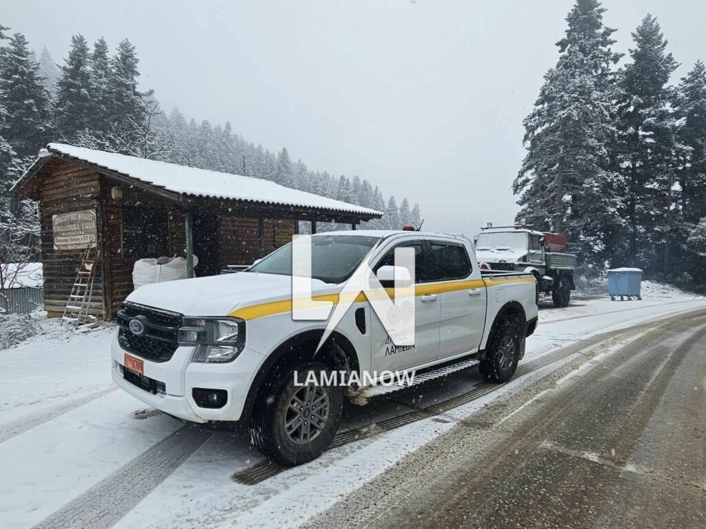 photo 17688135839649105992032479400247