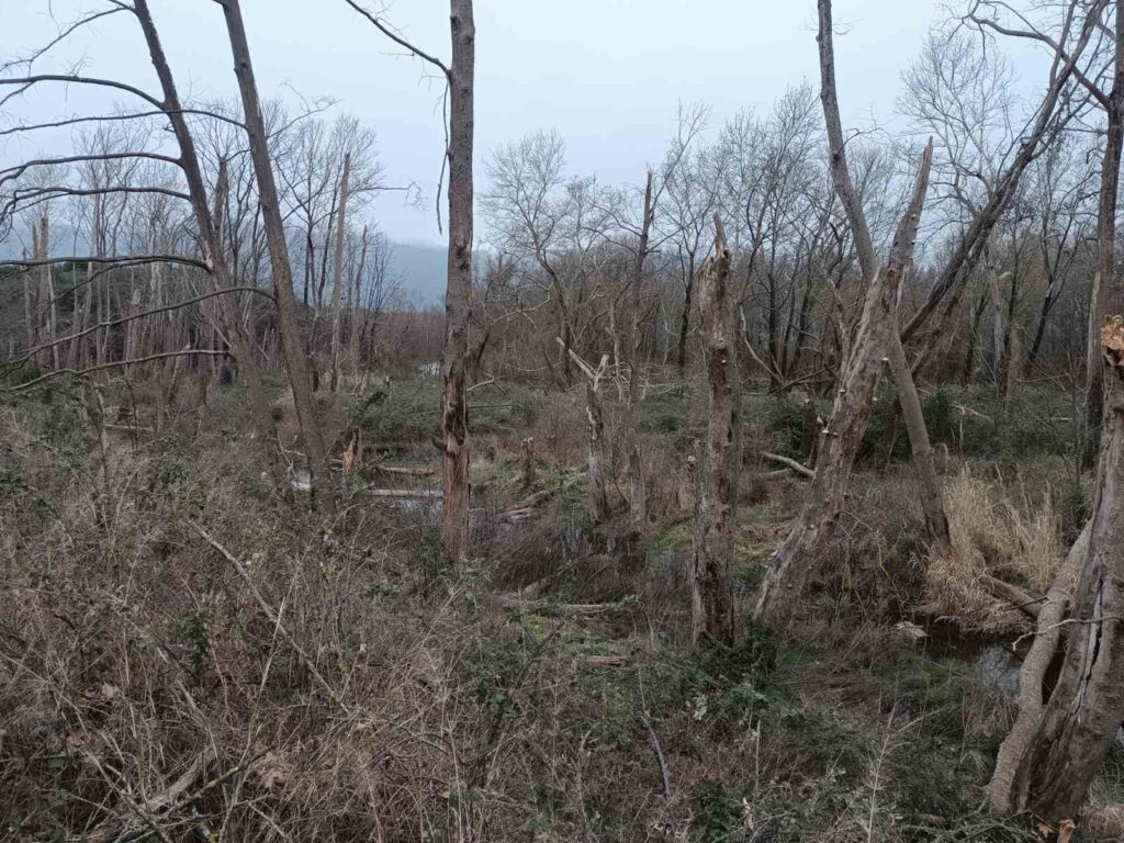 εικόνα Viber 2026 02 09 17 21 38 534